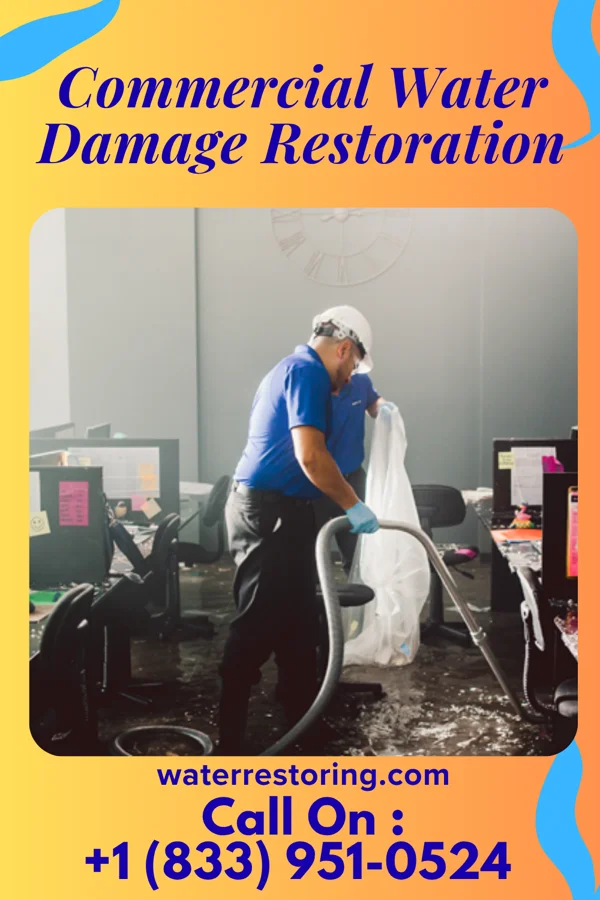 Commercial Water Damage Restoration in Laguna Heights, TX